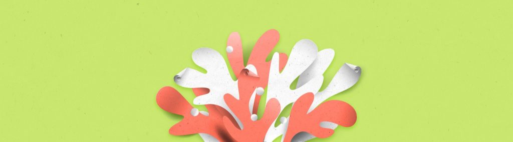 ¿Cuáles Son los Diferentes Tipos de Papel de Flyers?