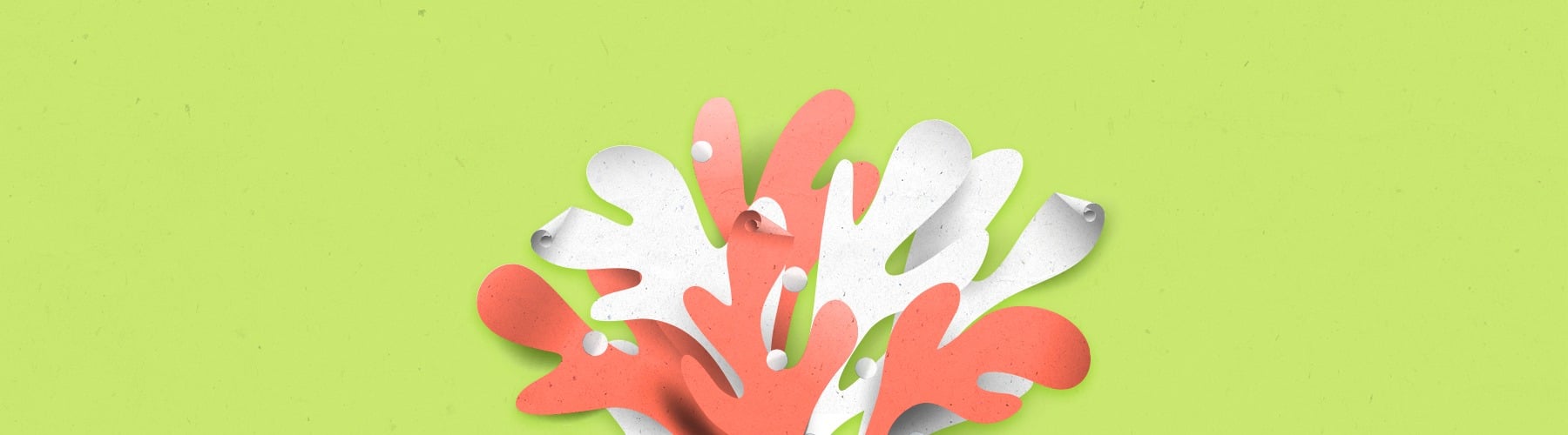 ¿Cuáles Son los Diferentes Tipos de Papel de Flyers? ¿Cuáles Son los Diferentes Tipos de Papel de Flyers?
