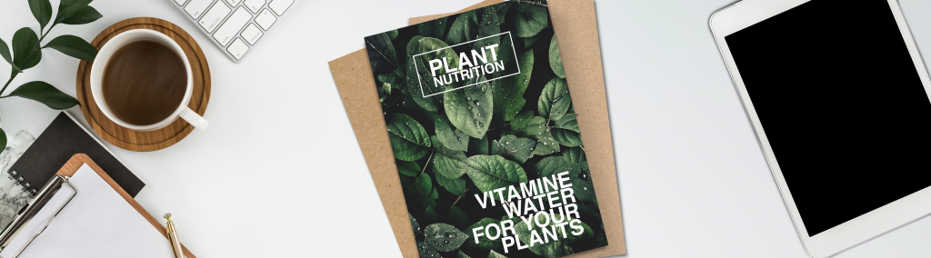 Cómo Elegir el Material Ecológico Adecuado